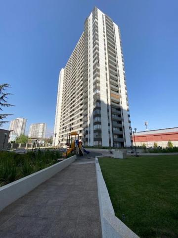 Loica Smart Santiago